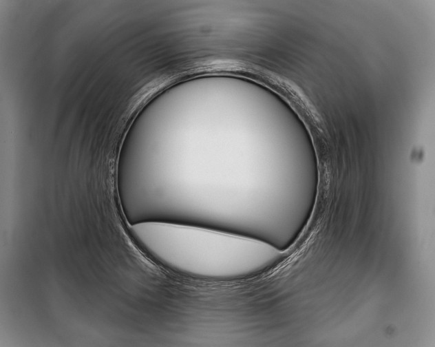 X0000101141225200806270729
