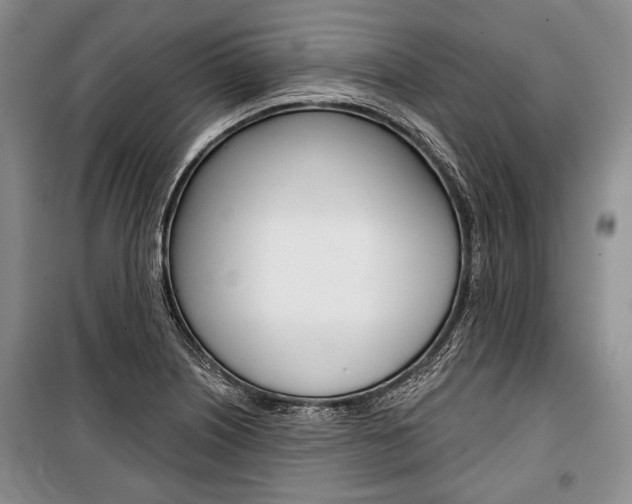 X0000101141226200806270729
