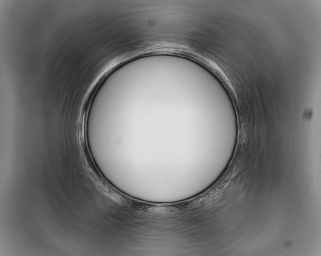 X0000101141227200806270729