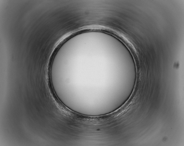 X0000101141229200806270729