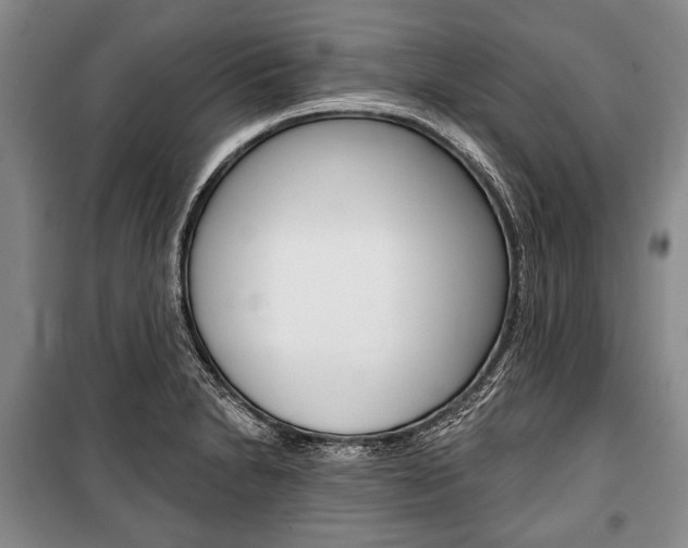 X0000101141230200806270729