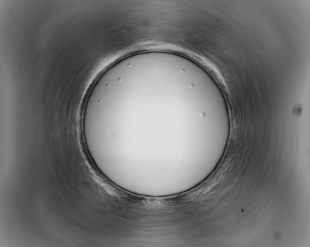 X0000101141231200806270729
