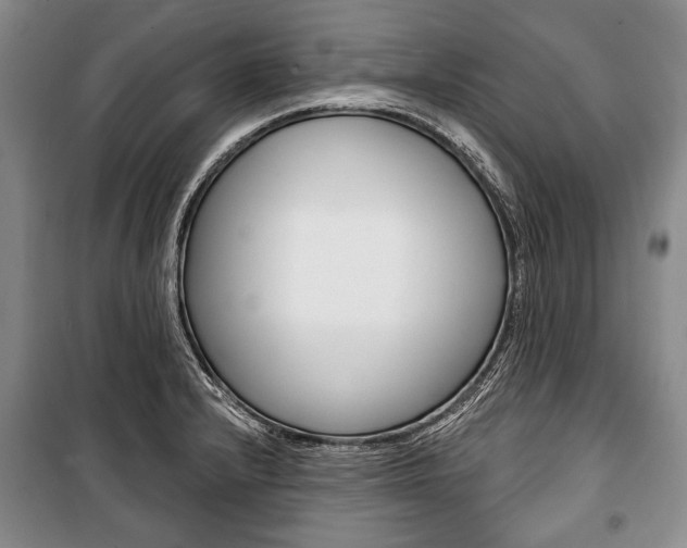 X0000101141232200806270729