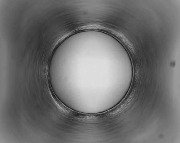 X0000101141233200806270729