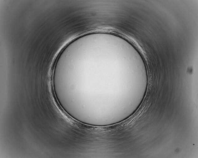X0000101141235200806270729