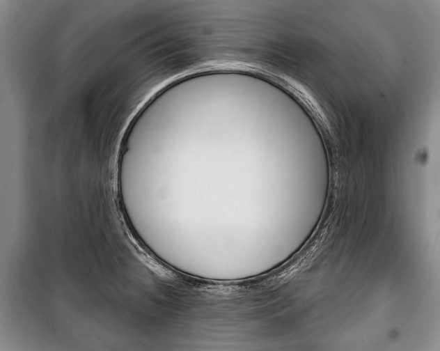 X0000101141236200806270729