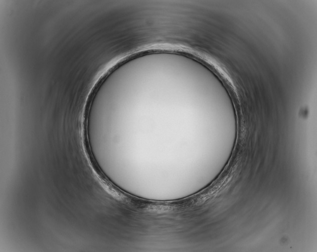 X0000101141237200806270729