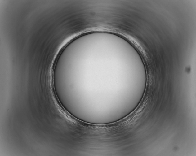 X0000101141238200806270729