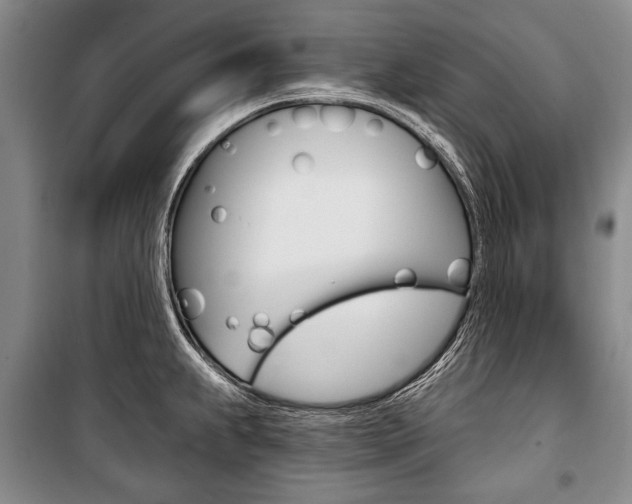 X0000101141239200806270729