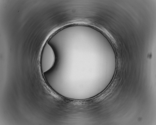 X0000101141240200806270729