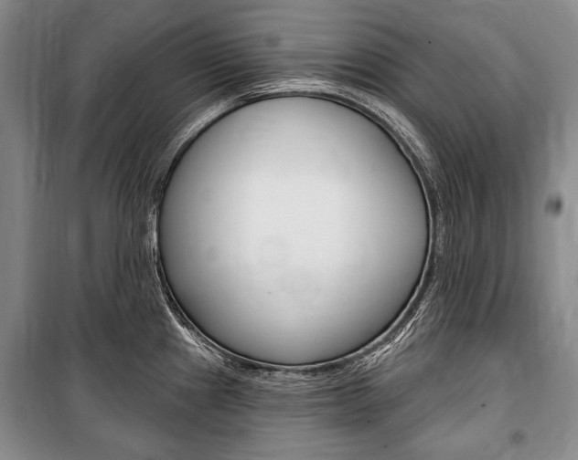 X0000101141241200806270729