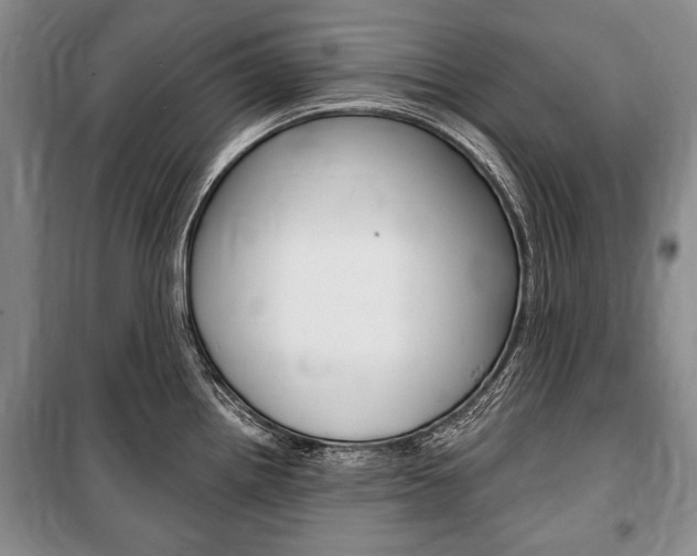 X0000101141242200806270729
