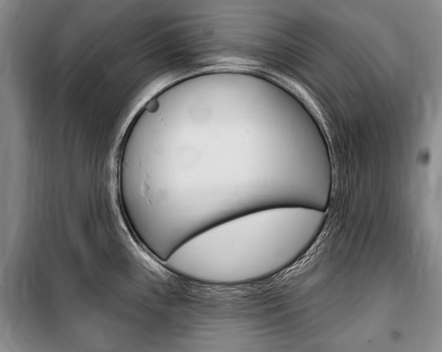 X0000101141243200806270729