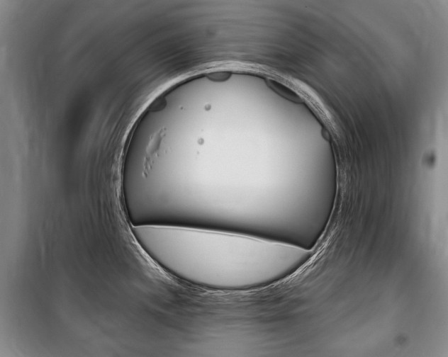 X0000101141244200806270729