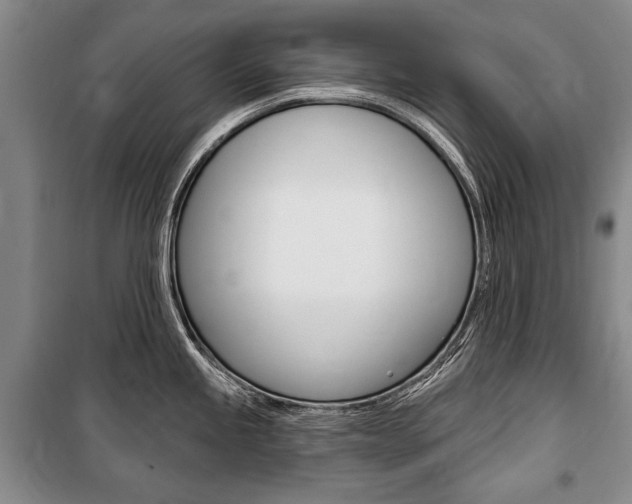 X0000101141245200806270729