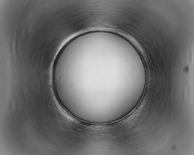 X0000101141246200806270729