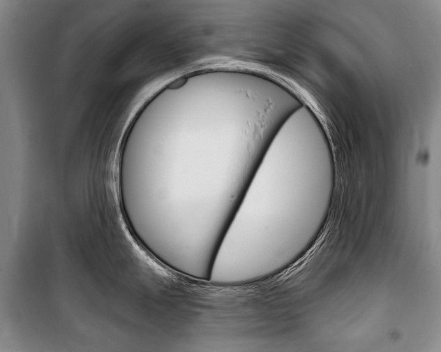 X0000101141247200806270729
