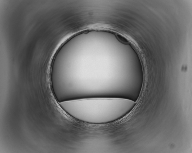 X0000101141248200806270729