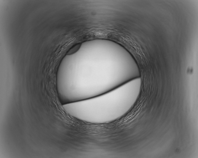 X0000101141249200806270728