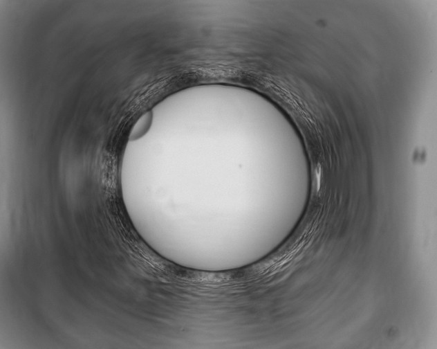 X0000101141251200806270728