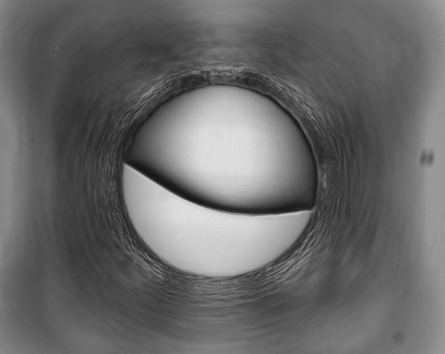 X0000101141252200806270728