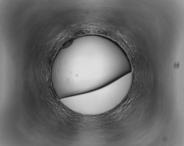X0000101141253200806270728