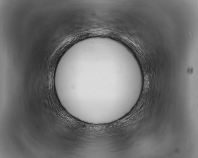 X0000101141254200806270728