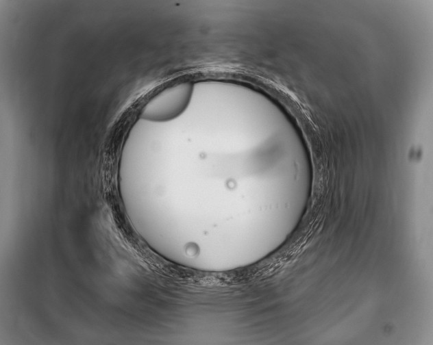 X0000101141255200806270728