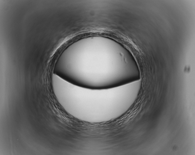 X0000101141256200806270728