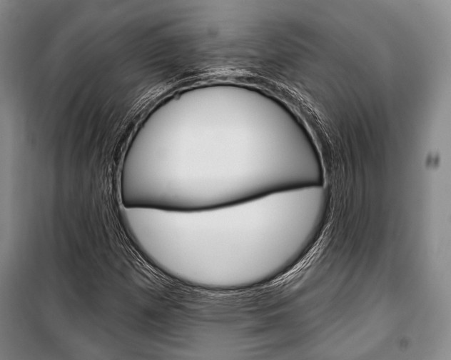 X0000101141257200806270728