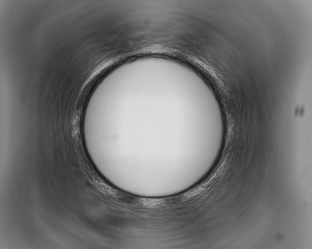 X0000101141258200806270728