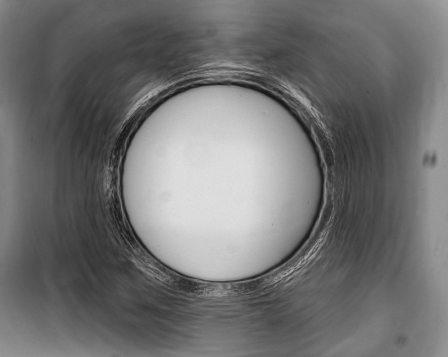 X0000101141259200806270728