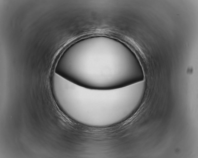 X0000101141260200806270728
