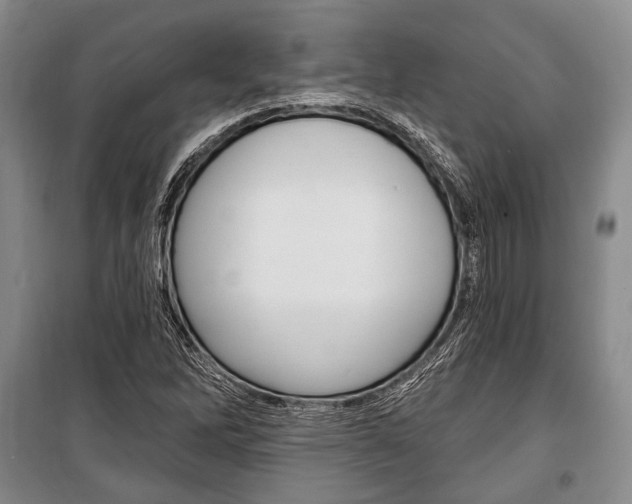 X0000101141262200806270728
