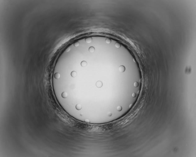 X0000101141263200806270728