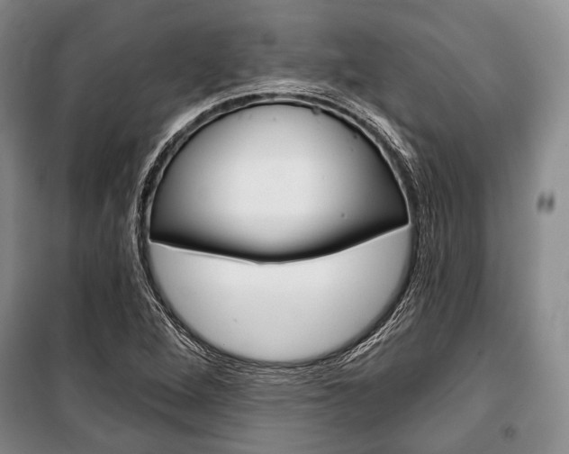 X0000101141264200806270728