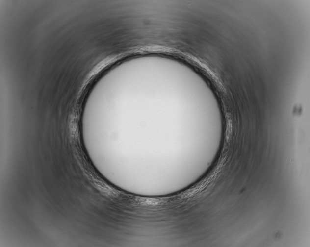 X0000101141266200806270728