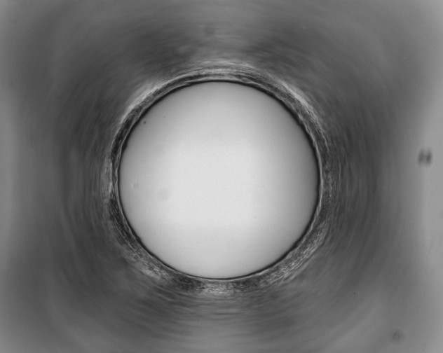 X0000101141267200806270728
