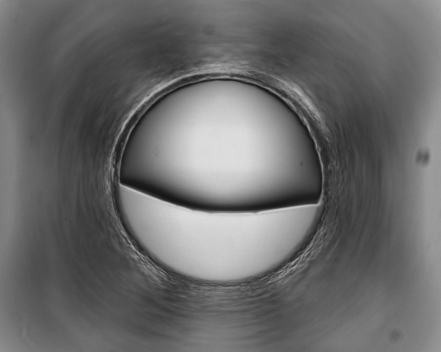 X0000101141268200806270728