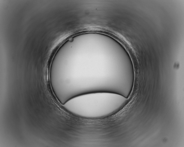 X0000101141269200806270728