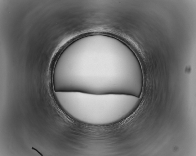 X0000101141270200806270728