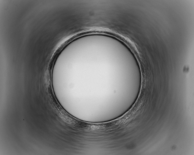 X0000101141271200806270728