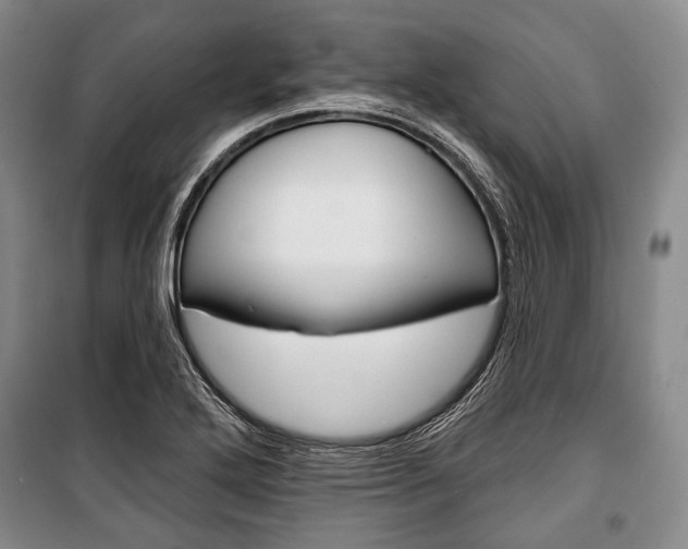 X0000101141272200806270728