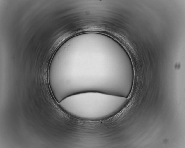 X0000101141273200806270728