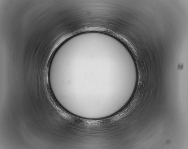 X0000101141274200806270728