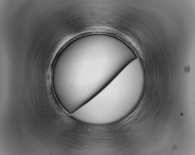X0000101141275200806270728