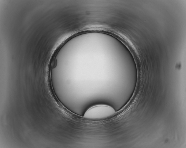 X0000101141277200806270728