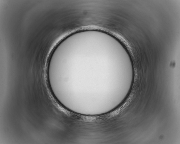 X0000101141278200806270728