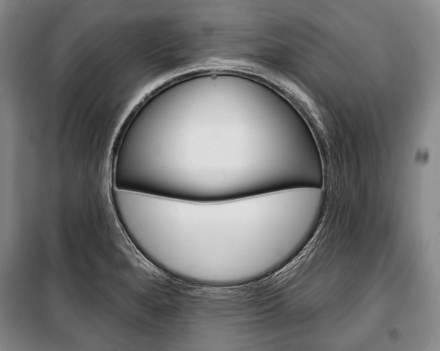 X0000101141280200806270728