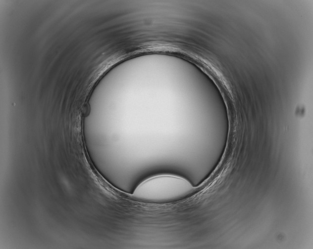 X0000101141281200806270728
